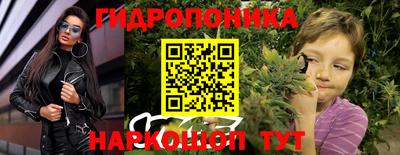 apvp Краснознаменск