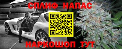 apvp Краснознаменск