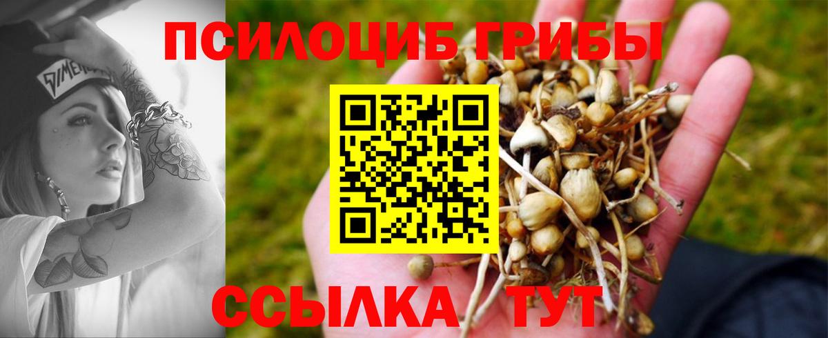 Ижевск  Галлюциногенные грибы MAGIC MUSHROOMS  Вход с VPN 